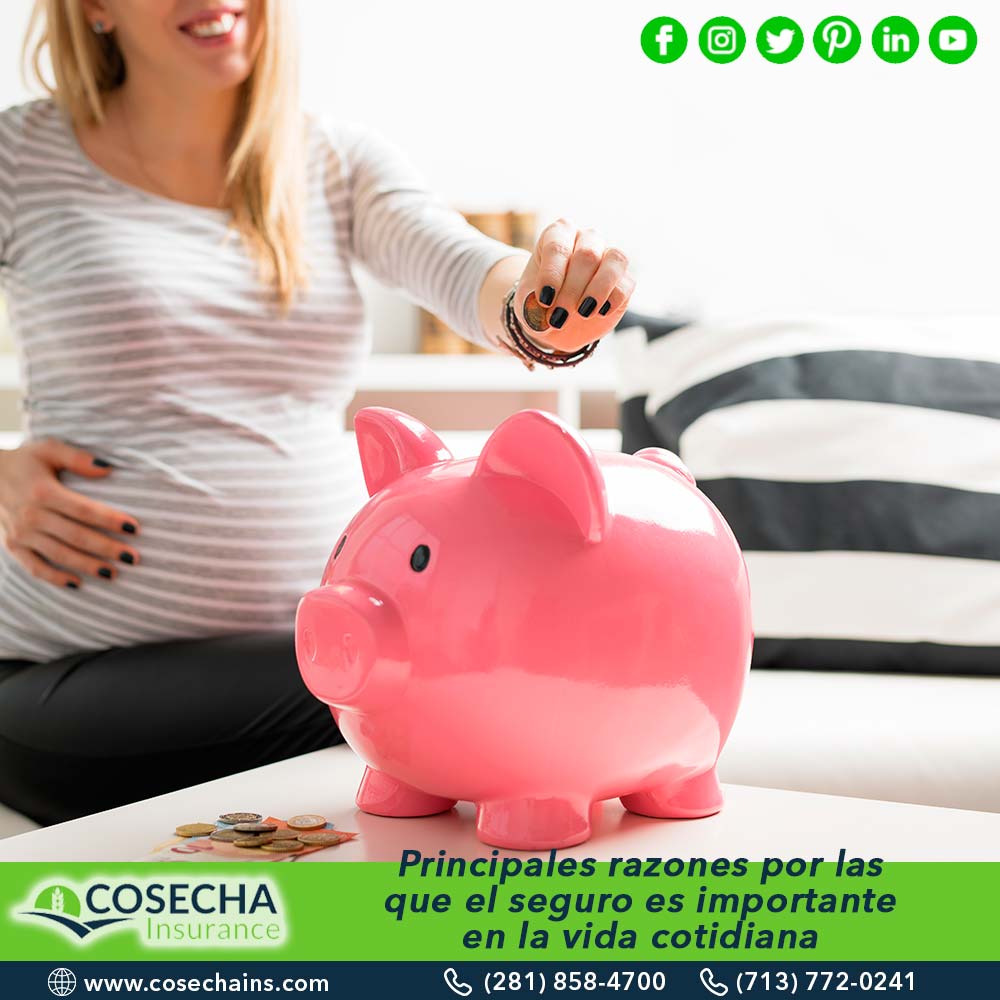 26 Cosecha Insurance