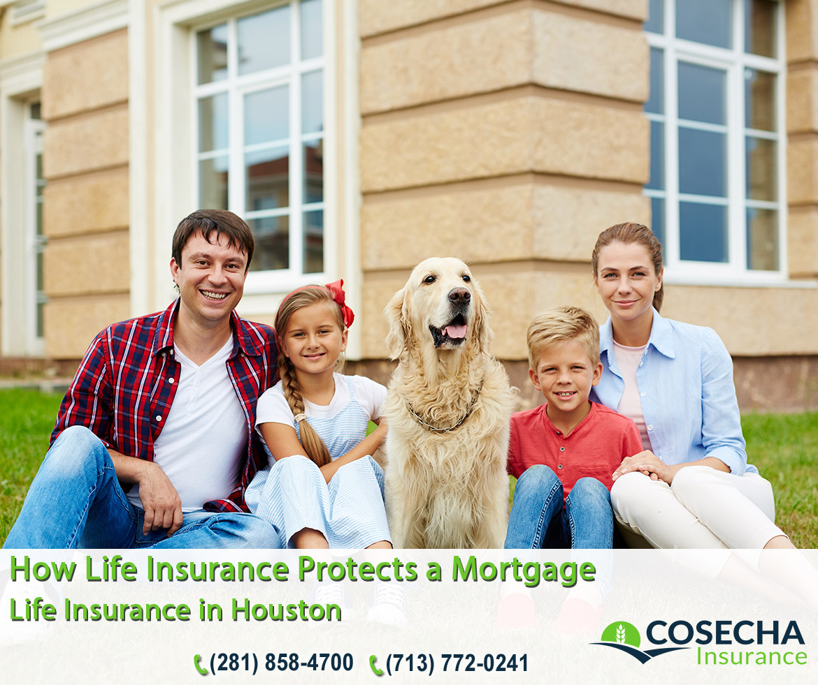 29 Life Insurance in Houston